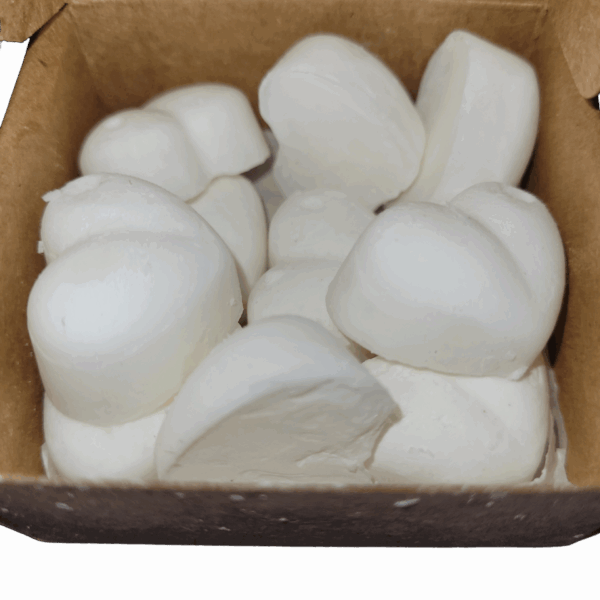 Pure Coconut Wax Melts