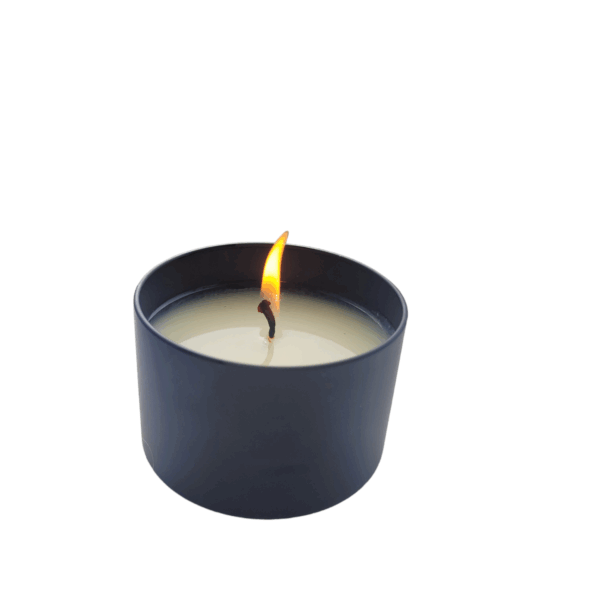 Bugs Away Candle